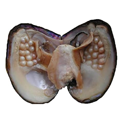 HEASEA thumbnail