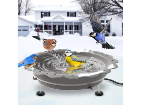 Heated Bird Baths thumbnail