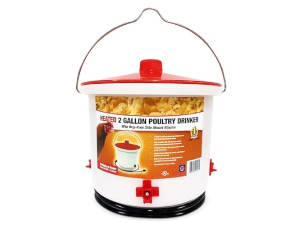 Heated Chicken Waterers thumbnail