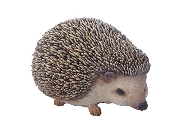 The 10 Best Hedgehog Outdoor Statues of 2023 (Reviews) - FindThisBest