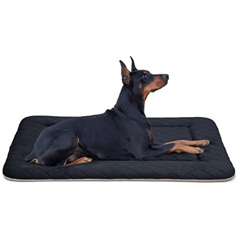 Hero Dog feature image