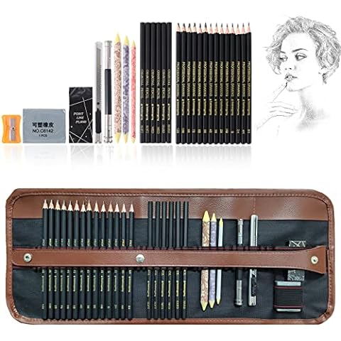 Heshengping 72 Colors Colored Pencils Set for Adult Coloring Books,  Professional Numbered Art Supplies Drawing Pencils kit for Sketching  Coloring Soft
