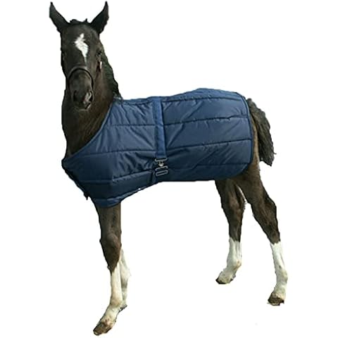 High Spirit feature image