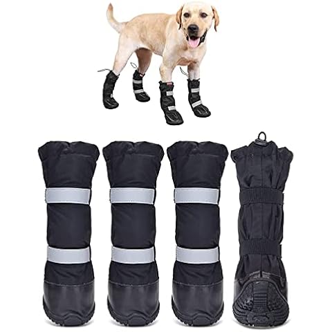Hipaw thumbnail