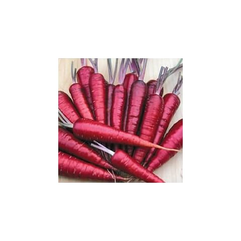Hirts: Seed; Vegetable thumbnail