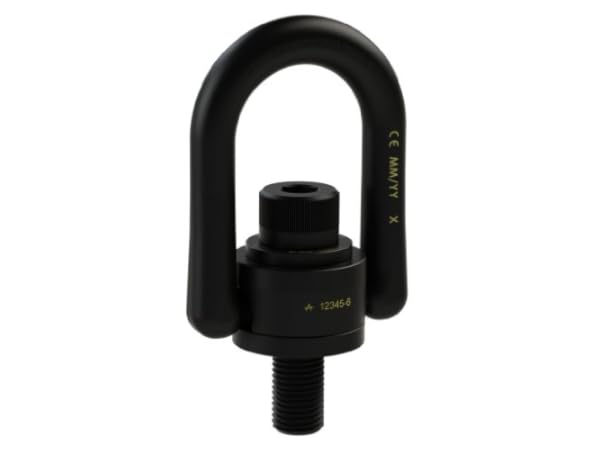 Hoist Rings Thumbnail