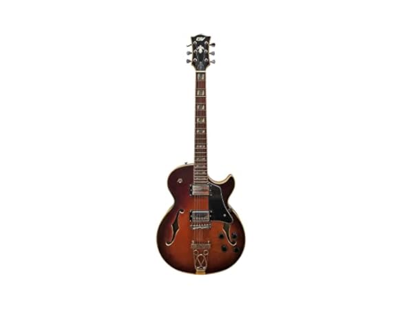 Hollow Electric Guitars Thumbnail