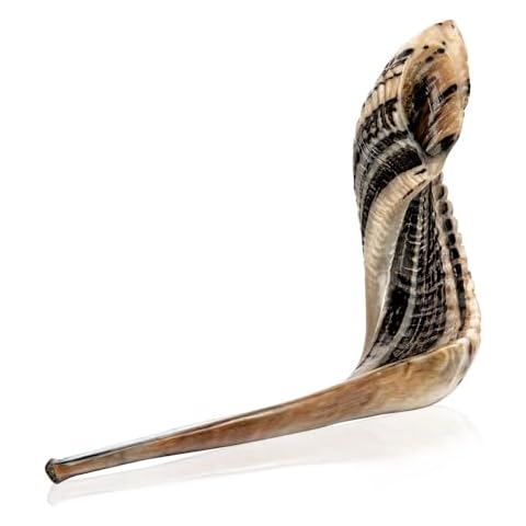 HOLY VOICE thumbnail