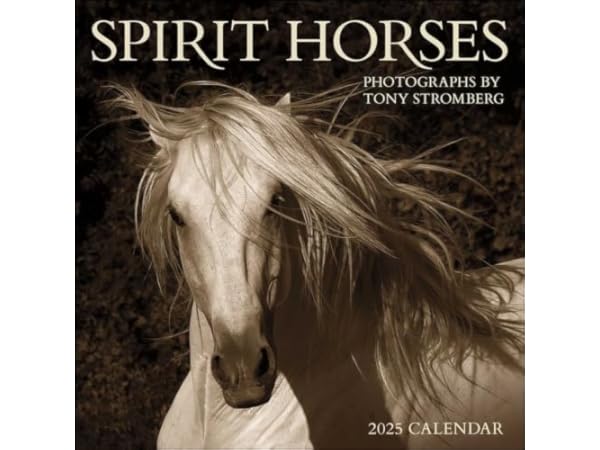 Horse Calendars Thumbnail