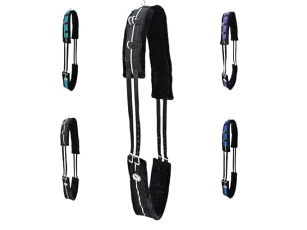 Horse Driving Equipment Thumbnail