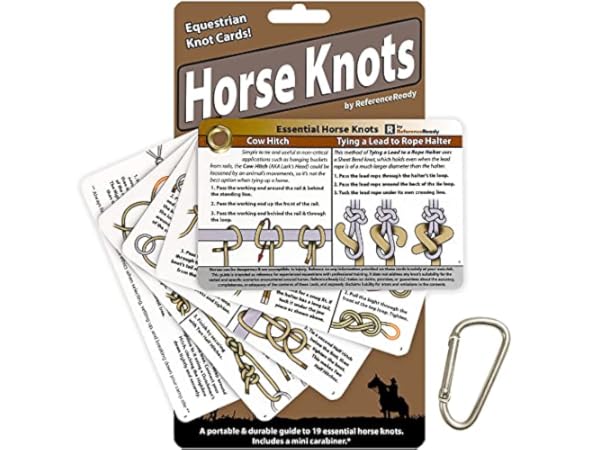 Horse Driving Equipment Thumbnail