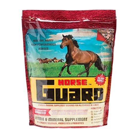Horse Guard thumbnail