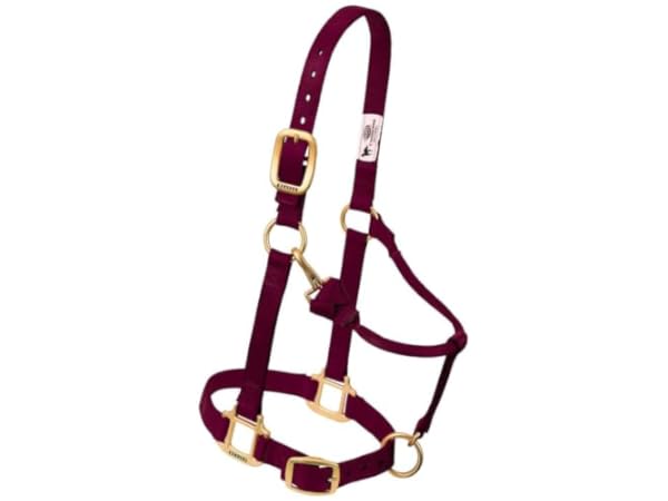 Horse Halters Thumbnail