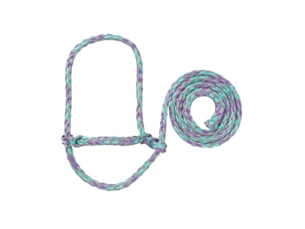 Horse Halters Thumbnail