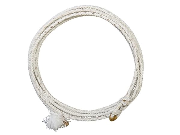 Horse Leads Thumbnail