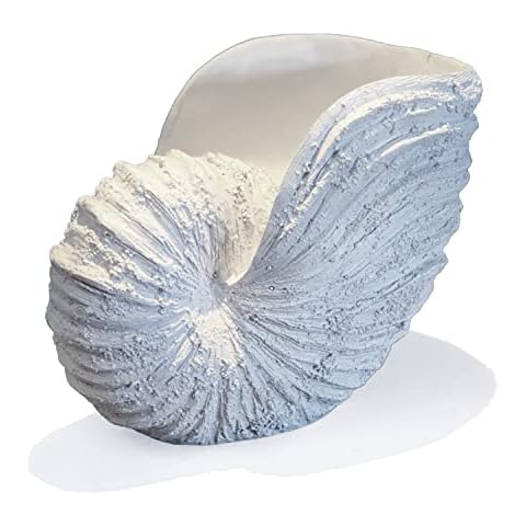 Huey House feature image