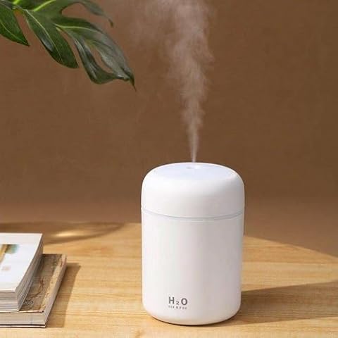 Humidifiers for Car