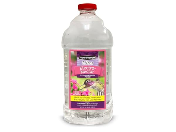 Hummingbird Food Thumbnail