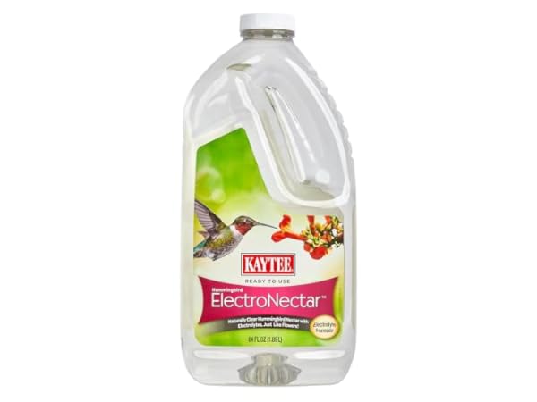 Hummingbird Food thumbnail