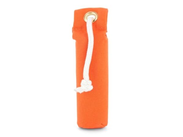 Hunting Dog Equipment Thumbnail