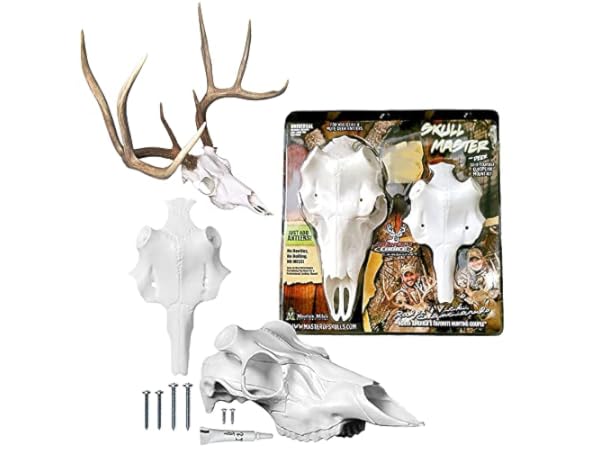 Hunting Trophy Mounts Thumbnail