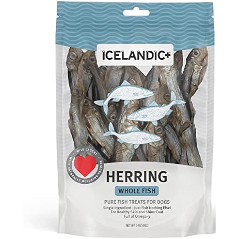 Icelandic+ thumbnail