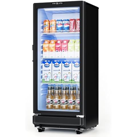 ICEVIVAL feature image