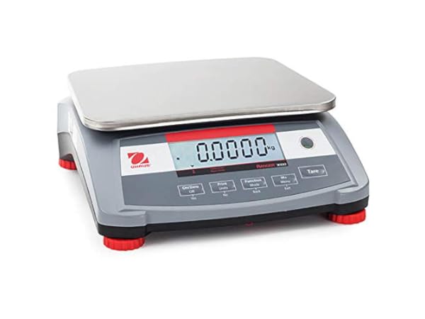 Industrial Bench Scales Thumbnail