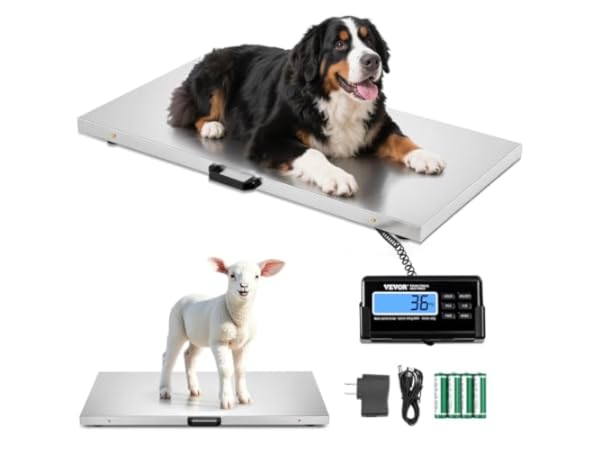 Industrial Floor Scales thumbnail