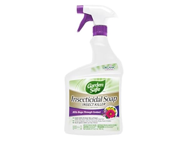 Insecticidal Soaps thumbnail