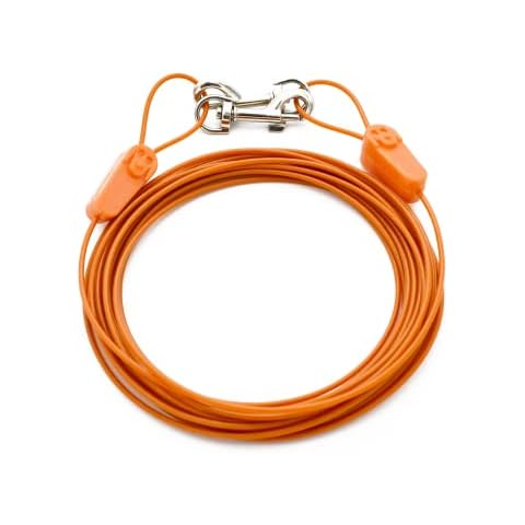 Intellileash thumbnail