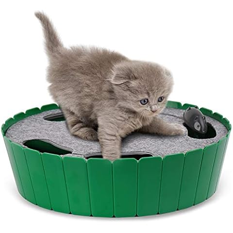 Interactive Cat Toys