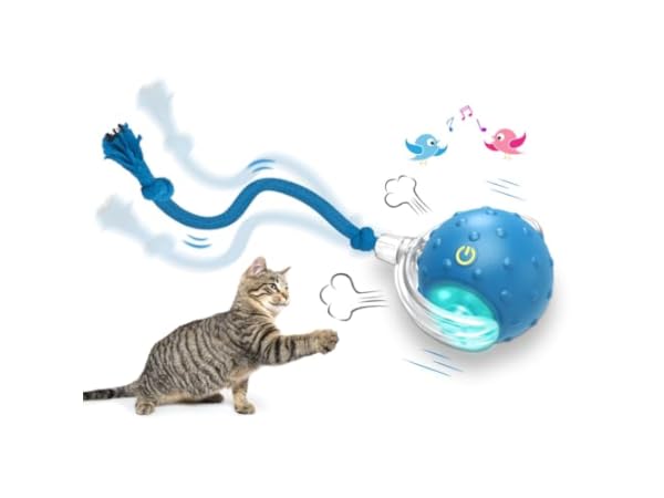 Interactive Toys for Cats thumbnail