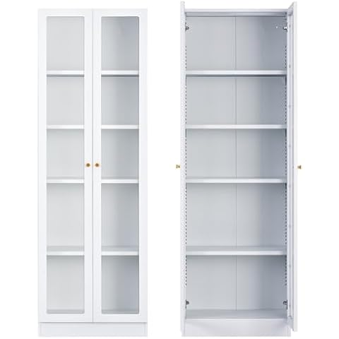 Storage Cabinet with Doors and Shelves, 71 Steel Locker Acrylic