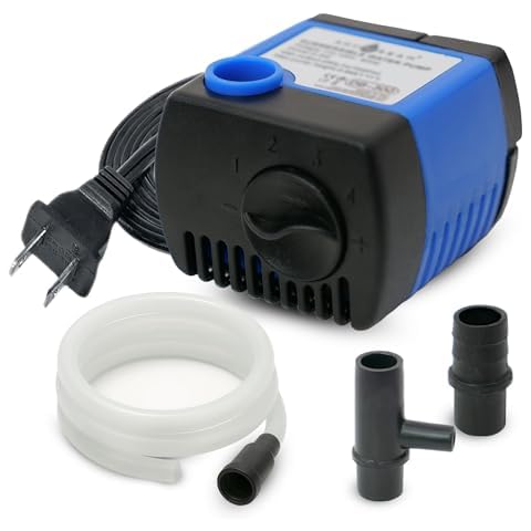 JAJALE feature image