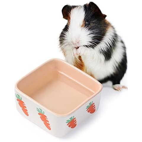 View of The 10 Best Bowls for Guinea Pig of 2024 (Reviews) - FindThisBest