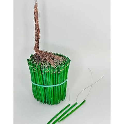 JenlyFavors thumbnail