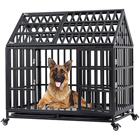 JINTANGLI PET thumbnail