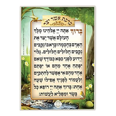 Judaica Place thumbnail