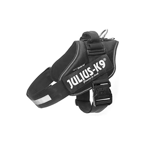 Julius-K9 thumbnail