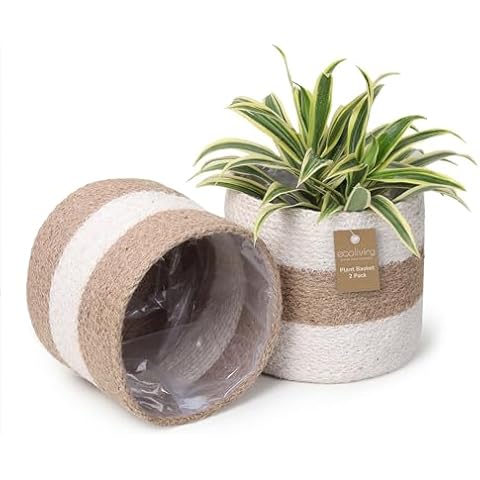 Jute Planters