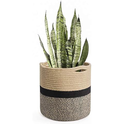 Jute Planters
