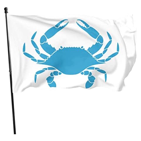 Kakoso feature image