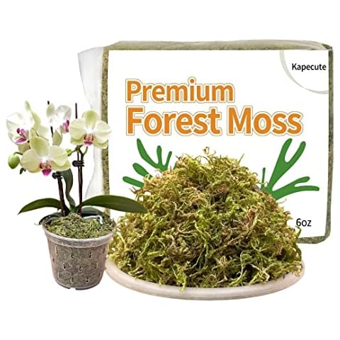  1.3LB Sphagnum Moss for Plants, Sphagnum Moss for Orchids  Dried Orchid Moss, Orchid Soil Peat Moss Potting Mix Soil Moss for Potted  Plant : Patio, Lawn & Garden