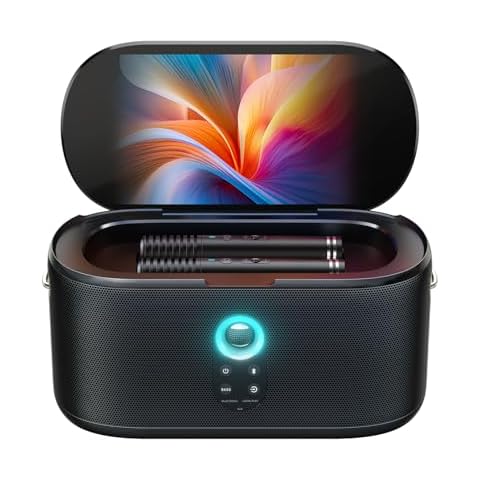 Karaoke Portable Systems