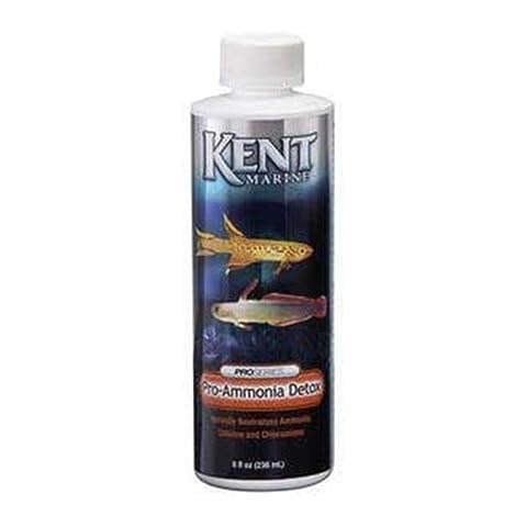 Kent Marine thumbnail