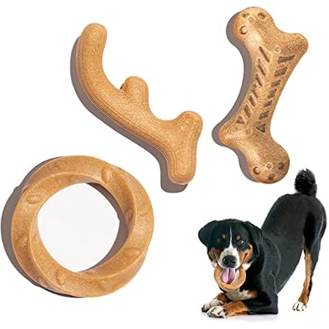 Arm & Hammer for Pets Chew Tools Collection: Wood Blend Paintbrush Chew Toy  for Dogs