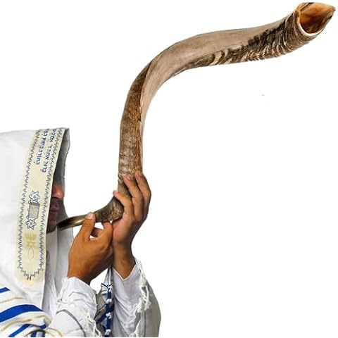King David Shofars thumbnail