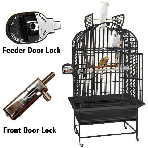 King's Cages thumbnail