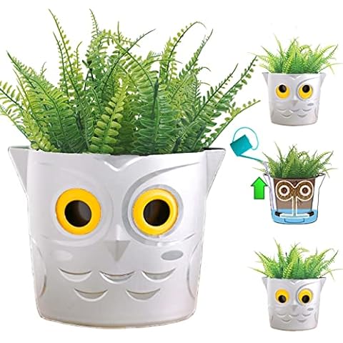 King's Gardening feature image